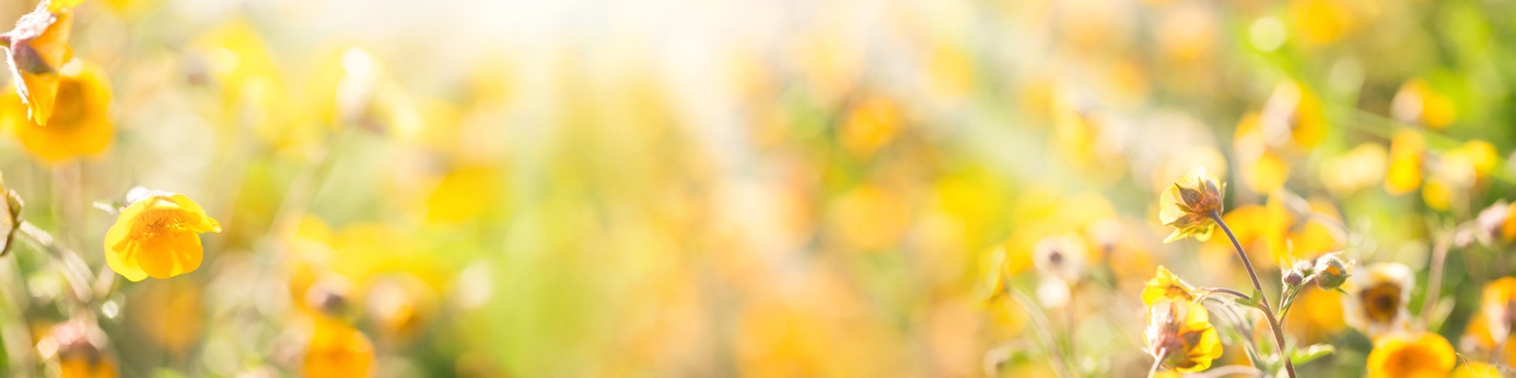 background picture for article title